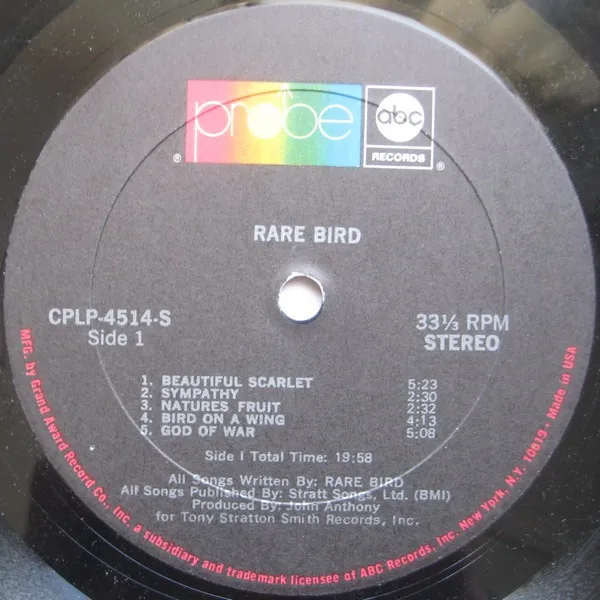 Rare bird