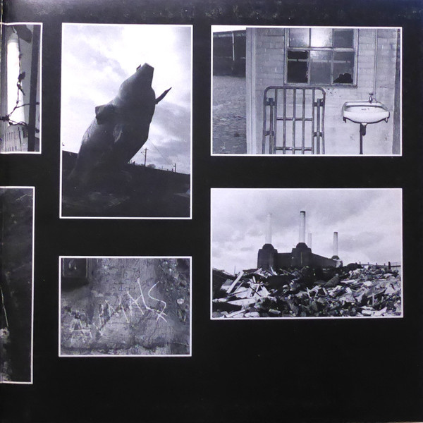 Animals