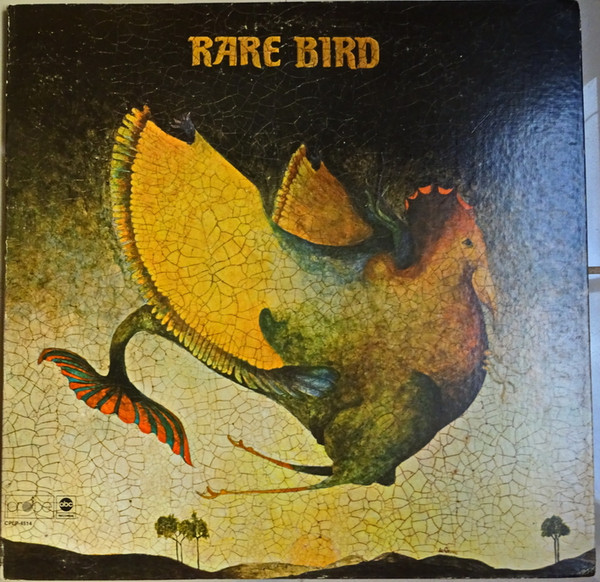 Rare bird