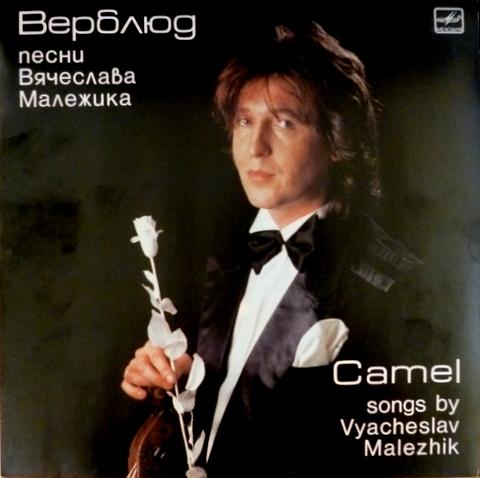  Верблюд